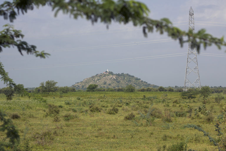 A mosaic of unprotected grassland/shrubland and agricultural land in Shokaliya, Rajasthan, home to the lesser florican. Prosopis juliflora (the tree in the foreground), power lines, changing farming practices are some of the threats to the birds. Photo by Kartik Chandramouli.